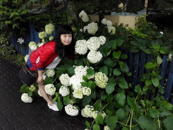http://s.yun12.cn/tdqsyyey/images/qcygkq1lt5u20200616155432.jpg